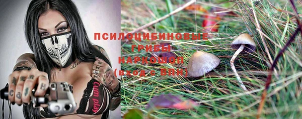 кокс Абаза